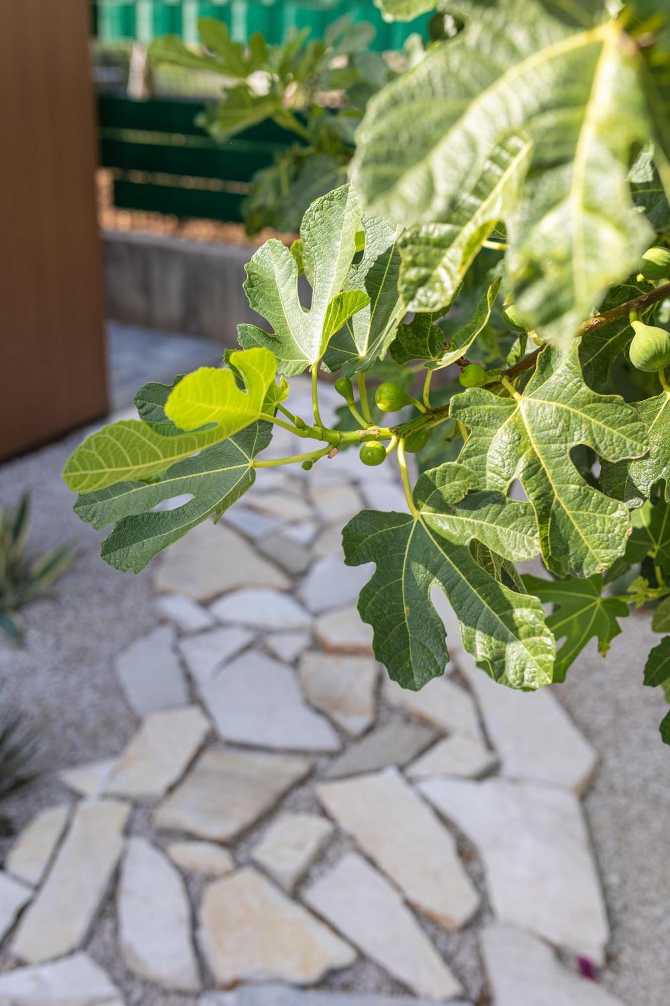 Villa Ivana Ljubuški Esterno foto